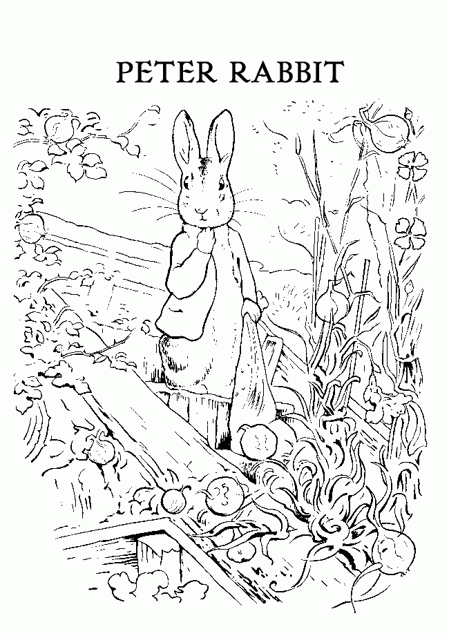 peter_colouring
