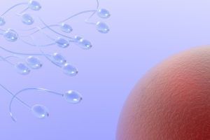 Sobre o Método de ovulação billings