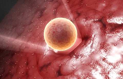 Método de Ovulação Billings - saúde reprodutiva do homem e da mulher