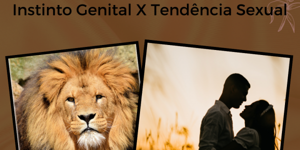 Diferença entre instinto genital e tendência sexual.