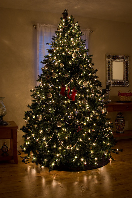 Qual é o dia certo para montar a árvore de Natal? - Prof. Felipe Aquino