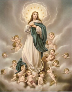 Rezemos o Ofício da Imaculada Conceição da Virgem Maria