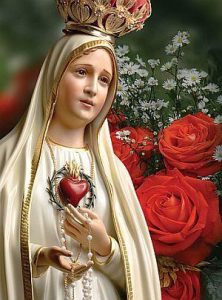 São Luís oferece uma Roseira Mística para devotos da Virgem Maria
