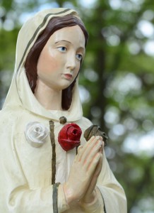 Os pedidos e as promessas de Nossa Senhora Rosa Mística