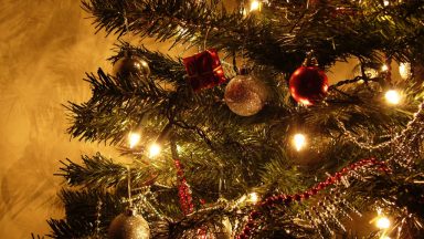 O que a Árvore de Natal simboliza?