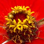 DNA – Deus Na Arte!