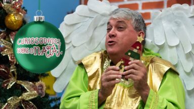 Os Frutos do Pinheirinho