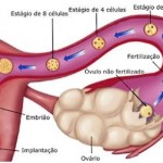 Porque parar de tomar pílula?