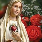 Uma Roseira Mística para devotos de Maria