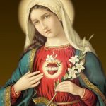 Confiemos nossos tesouros ao Imaculado Coração de Maria
