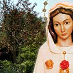 Maria Rosa Mística e nosso jardim espiritual