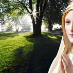 Um verdadeiro devoto de Maria não se perde