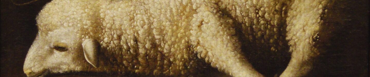 Cordeiro de Deus que tira o pecado do mundo