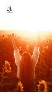 Pessoa no meio de campo de flores e um sol refletindo sobre tudo